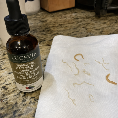 LUCEVIA Wild-Harvested Wormwood Herbal Drops